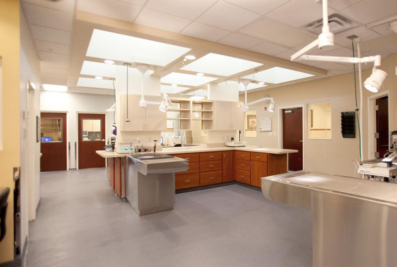 BDA Architecture :: Veterinary Hospitals :: Renovation/Addition